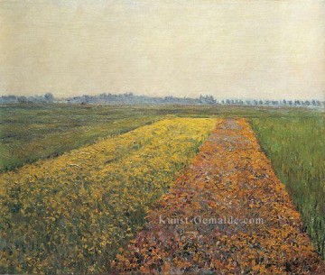  gelbe Galerie - Die gelben Felder in Gennevilliers Landschaft Gustave Caillebotte